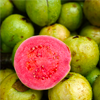 Guava extract - Guavital Composition